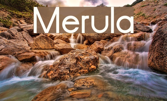 Merula Font examples
