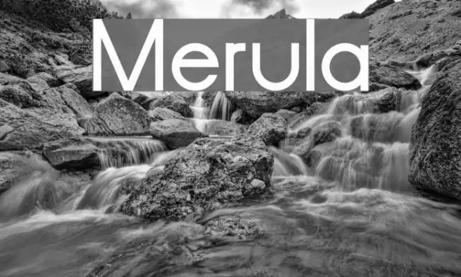Merula Example 2