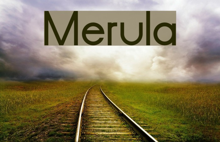 Merula Font examples