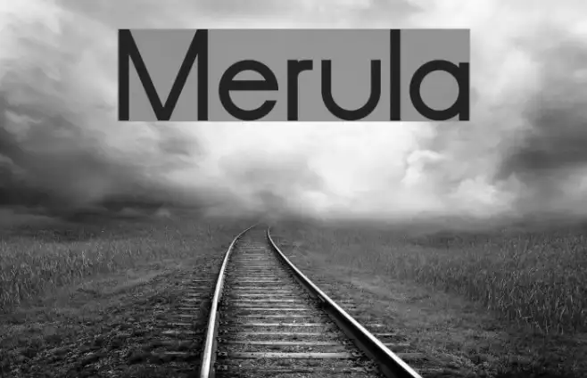 Merula Example 3