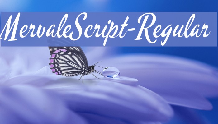 MervaleScript-Regular Schriftart examples