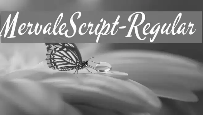 MervaleScript-Regular Schriftart examples