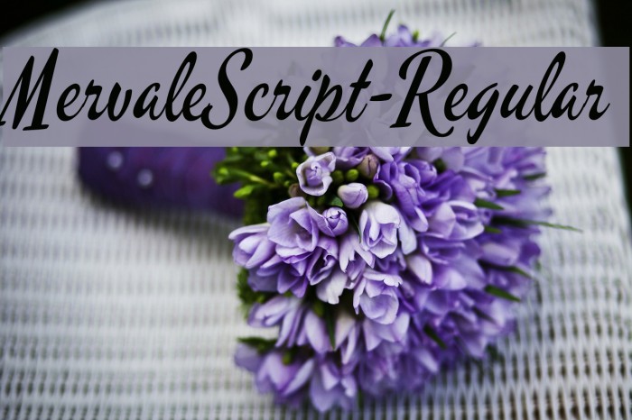 MervaleScript-Regular Schriftart examples