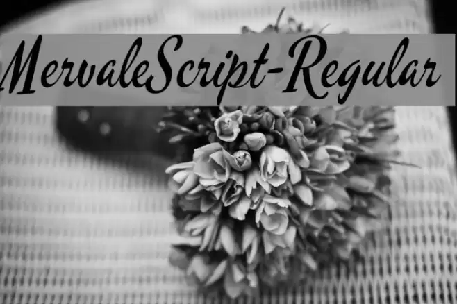 MervaleScript-Regular Schriftart examples
