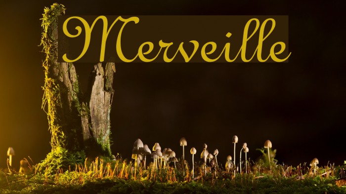 Merveille Font examples