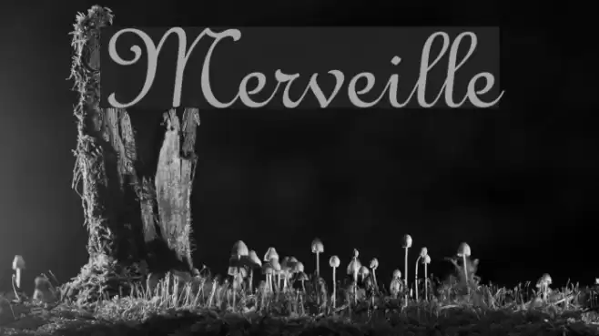 Merveille Font examples