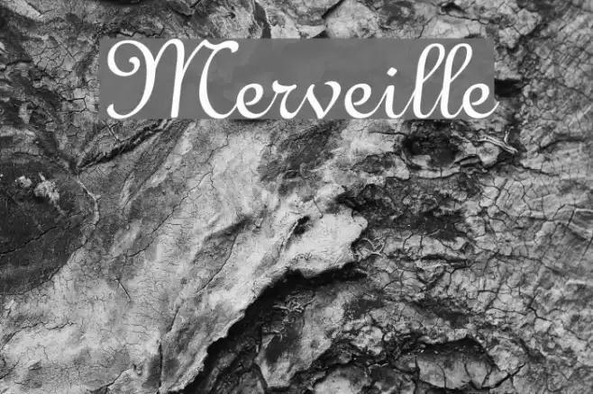 Merveille Font examples
