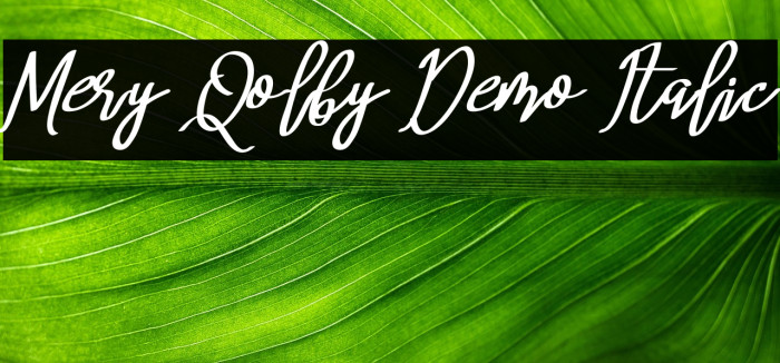 Mery Qolby Demo Italic Example 1