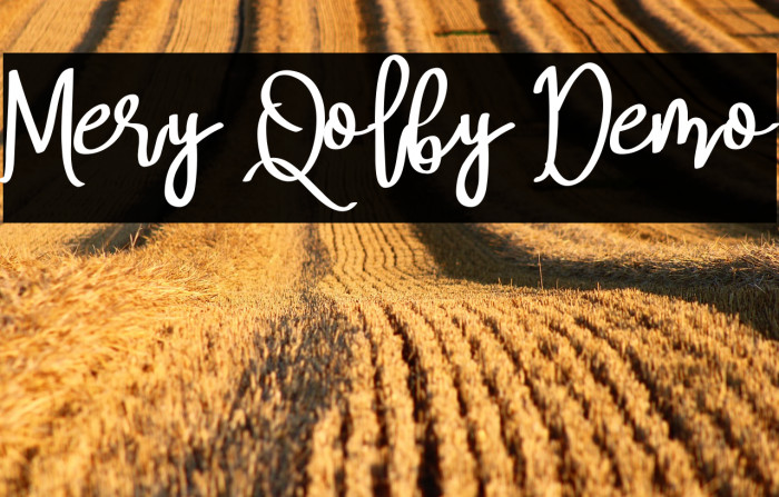 Mery Qolby Demo Example 3