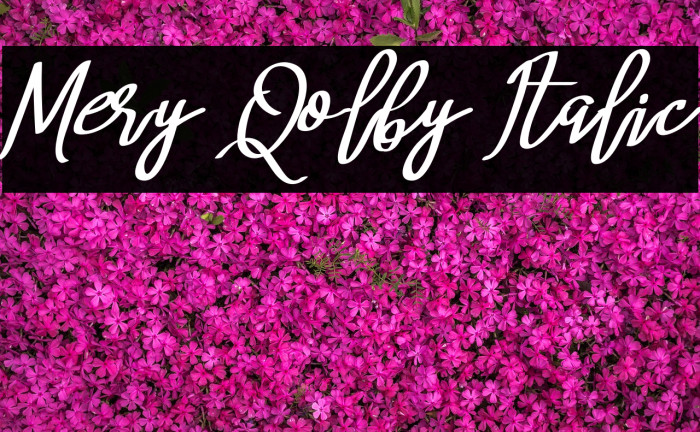 Mery Qolby Italic Font examples