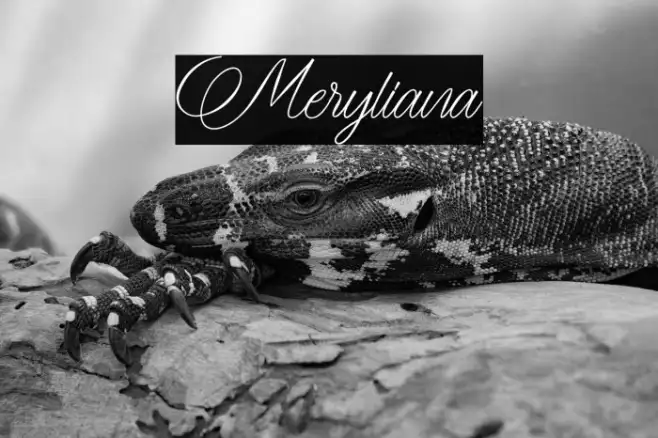 Meryliana Example 1