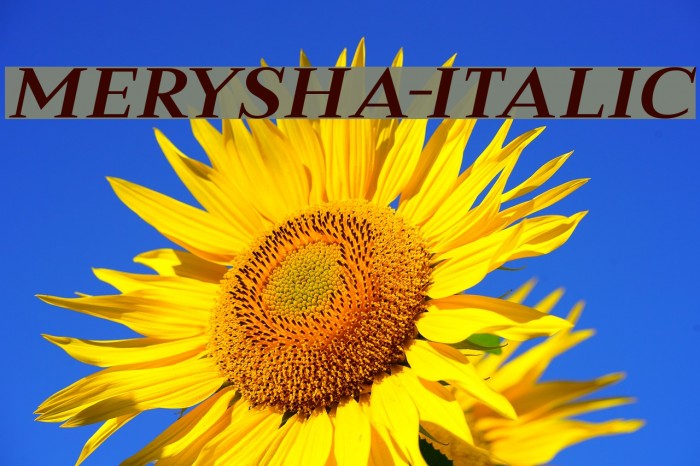 Merysha-Italic Font examples
