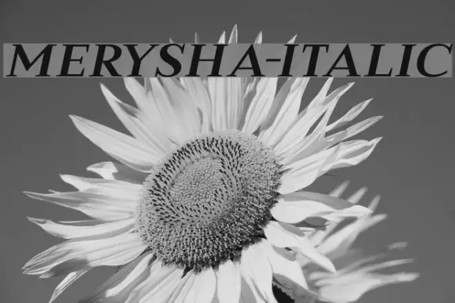 Merysha-Italic Example 1
