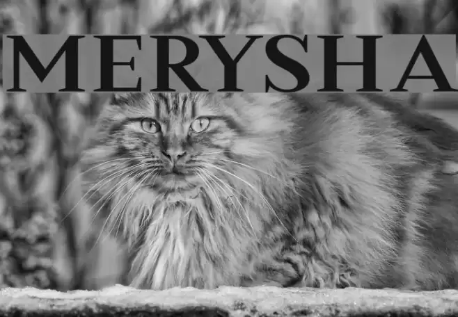 Merysha Font examples