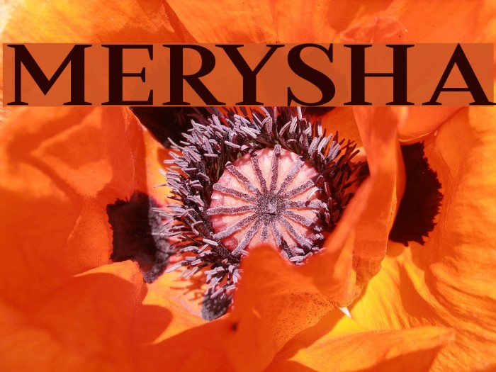 Merysha Font examples