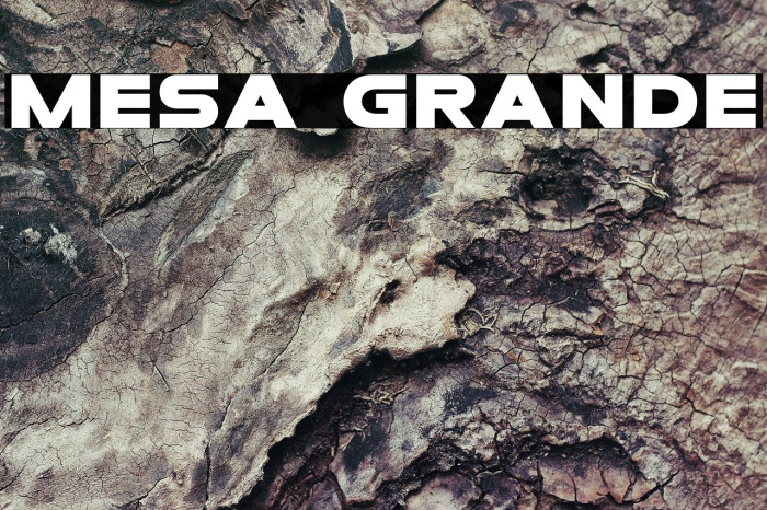 Mesa Grande Font examples