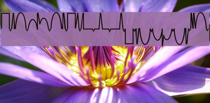 MesaAnalog Medium Example 1