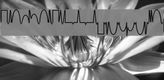 MesaAnalog Medium Font examples