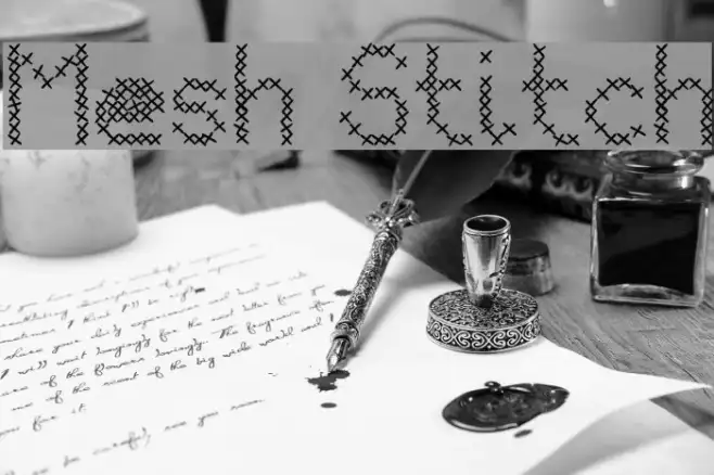 Mesh Stitch Example 2
