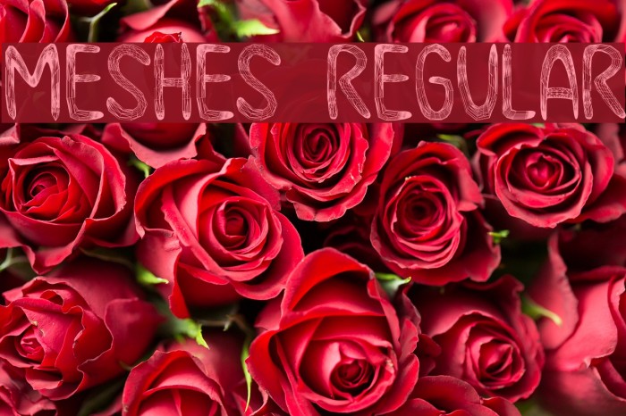 Meshes Regular Font examples