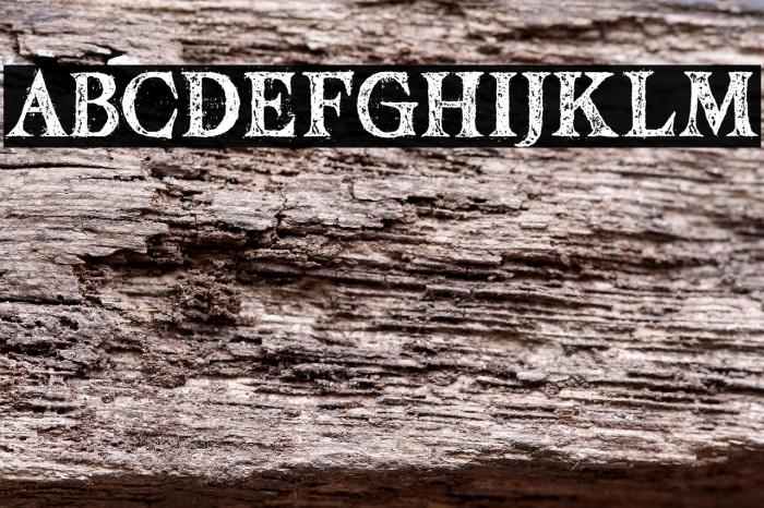 Mesintwa-Regular Example 1