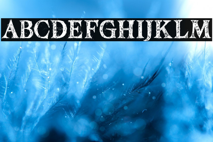 Mesintwa-Regular Example 3