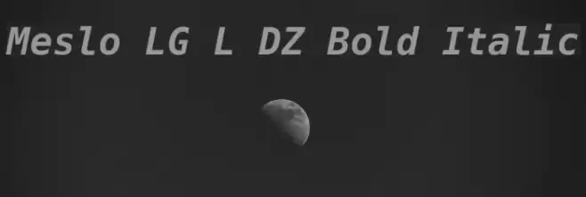 Meslo LG L DZ Bold Italic フォント examples