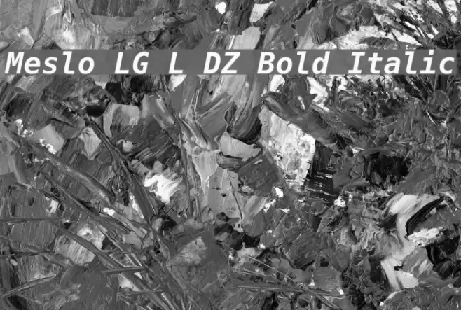 Meslo LG L DZ Bold Italic フォント examples