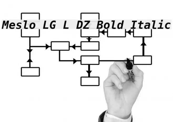 Meslo LG L DZ Bold Italic フォント examples