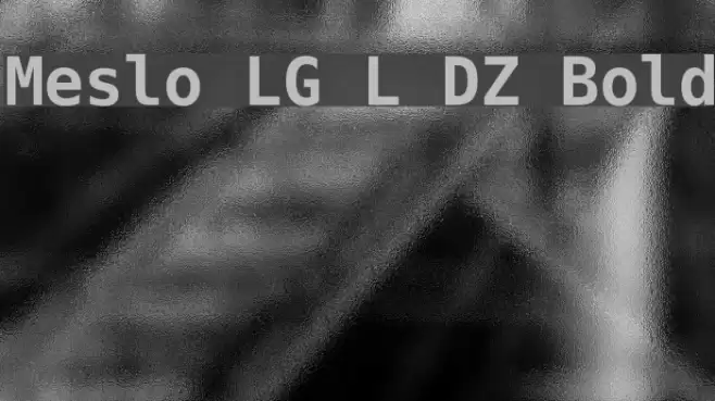 Meslo LG L DZ Bold Font examples