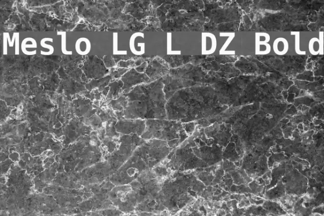 Meslo LG L DZ Bold Font examples