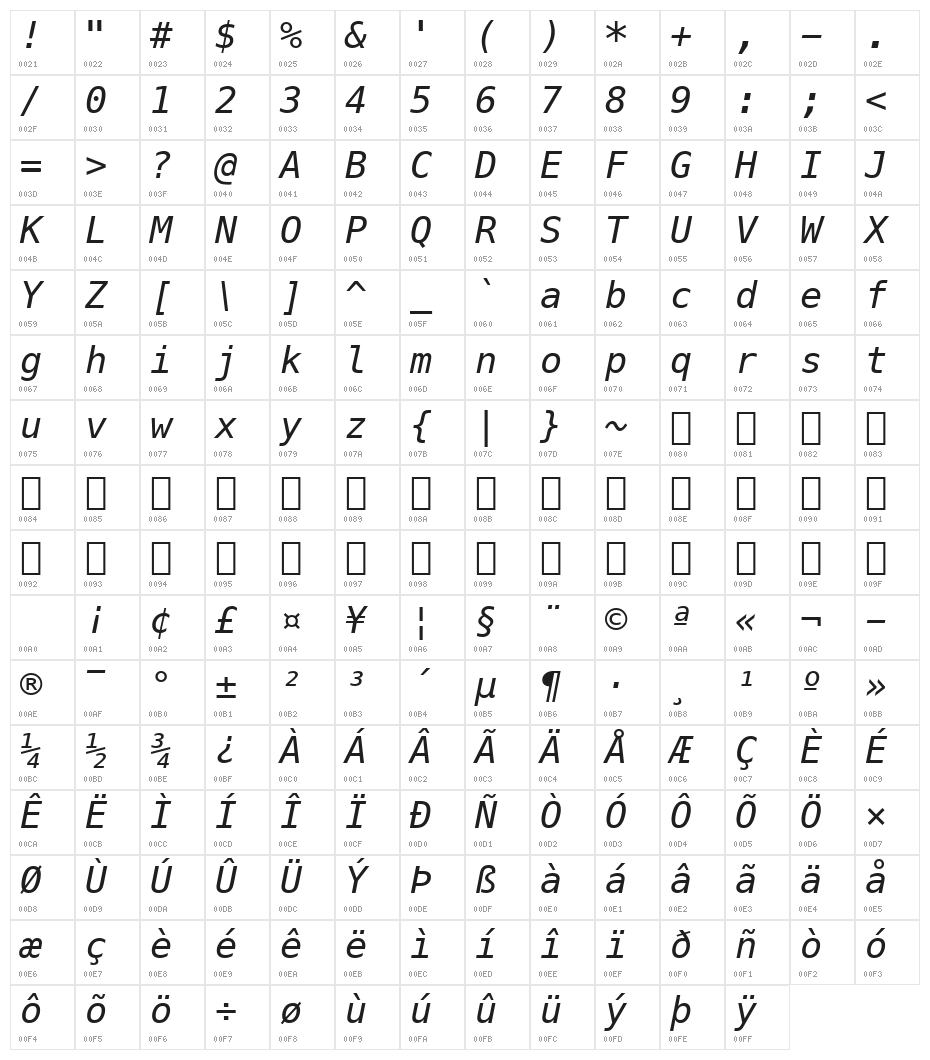 Meslo LG L DZ Italic Character Map