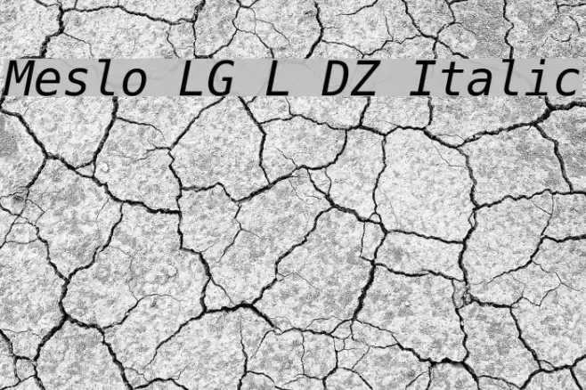 Meslo LG L DZ Italic Font examples