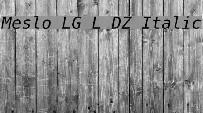 Meslo LG L DZ Italic Font examples