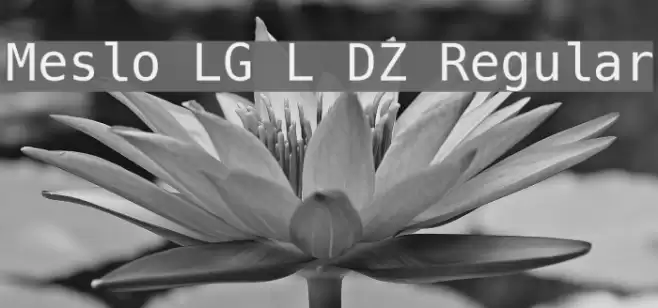 Meslo LG L DZ Regular Fonte examples