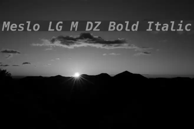 Meslo LG M DZ Bold Italic Polices examples