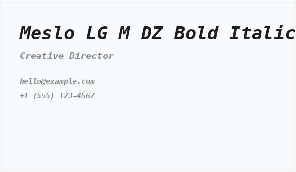 Meslo LG M DZ Bold Italic Business Card