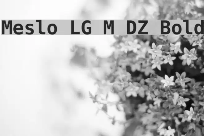 Meslo LG M DZ Bold Font examples