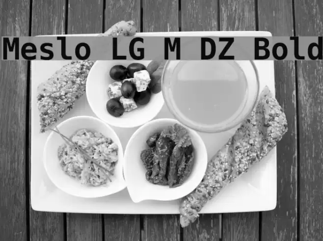 Meslo LG M DZ Bold Font examples