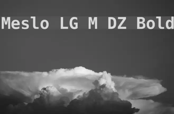 Meslo LG M DZ Bold Font examples