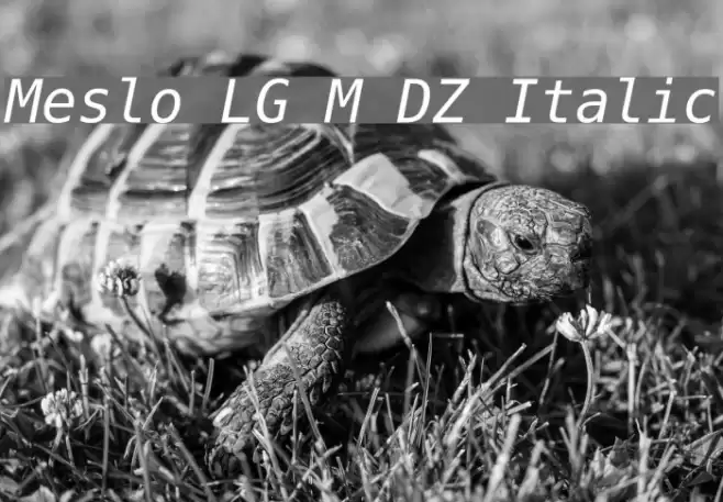 Meslo LG M DZ Italic Polices examples