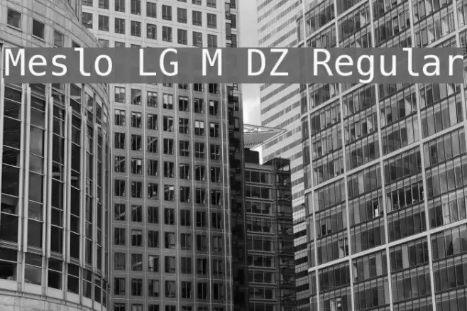 Meslo LG M DZ Regular Example 2