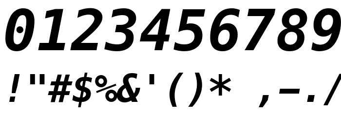 Meslo LG S DZ Bold Italic Font OTHER CHARS