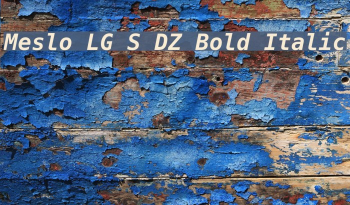 Meslo LG S DZ Bold Italic Font examples