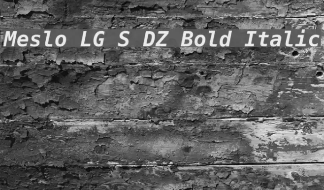 Meslo LG S DZ Bold Italic Polices examples