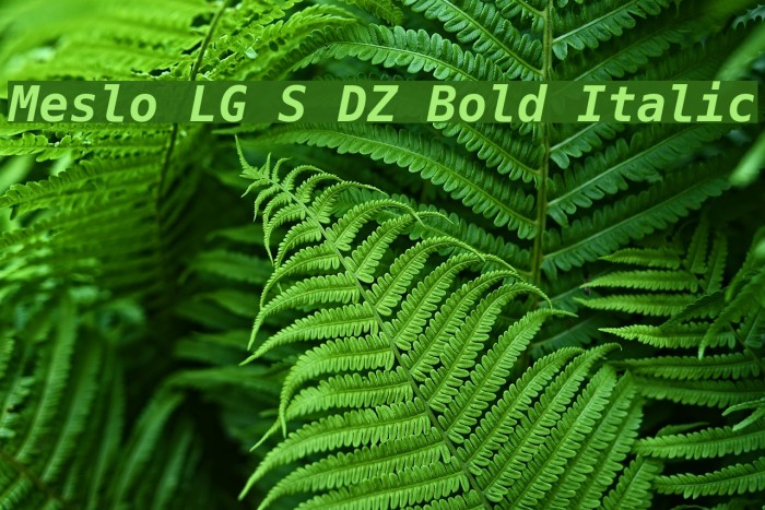 Meslo LG S DZ Bold Italic Font examples