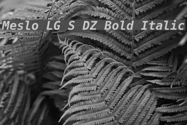 Meslo LG S DZ Bold Italic Polices examples