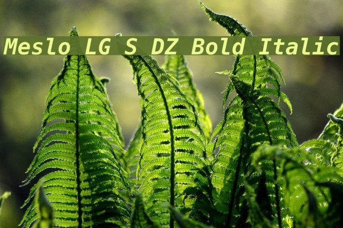 Meslo LG S DZ Bold Italic Font examples
