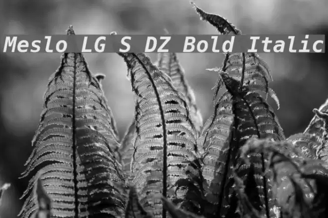 Meslo LG S DZ Bold Italic Polices examples