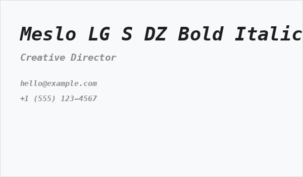 Meslo LG S DZ Bold Italic Business Card